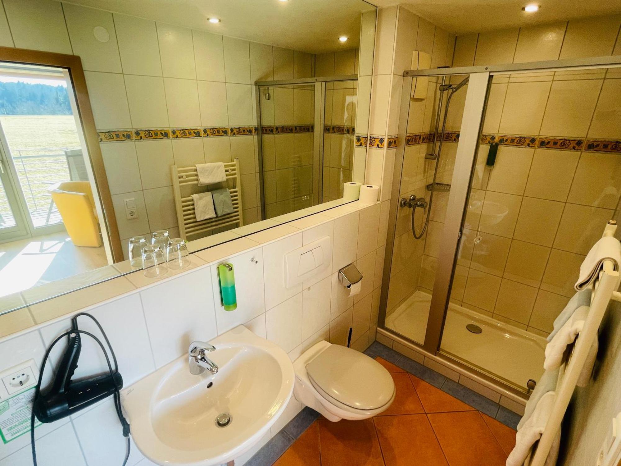 Landhotel Karin フロイデンシュタット 部屋 写真